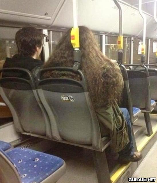 Harry Potter & Hagrid,...