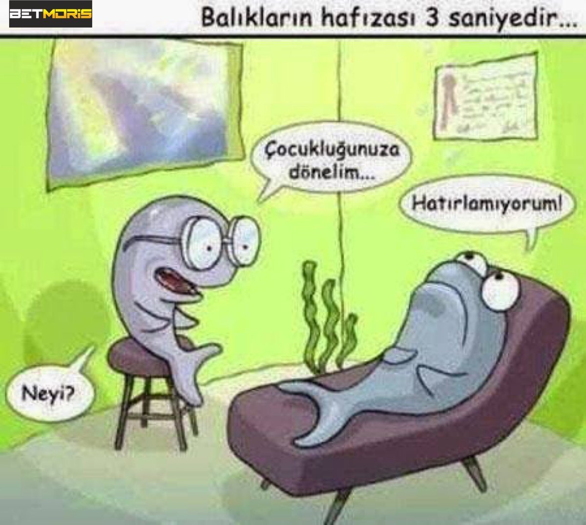 Kaynak