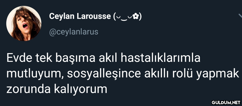 Ceylan Larousse (v_u)...