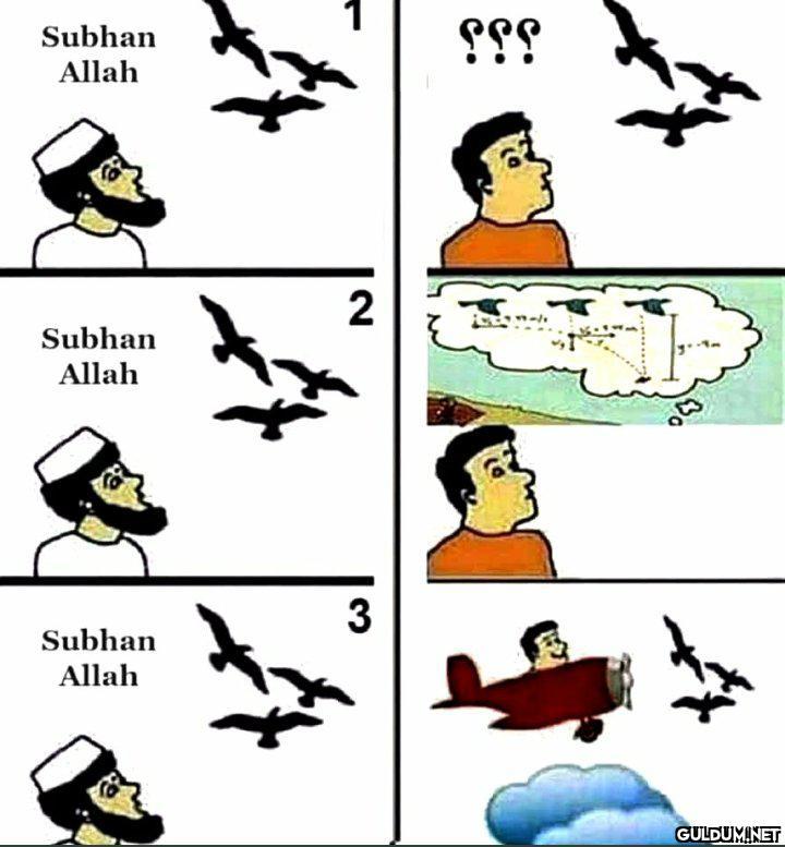 Some arab problems...