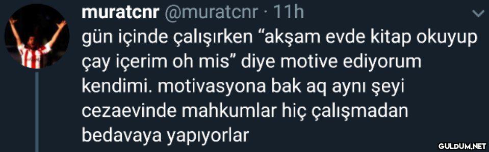 muratcnr @muratcnr · 11h...