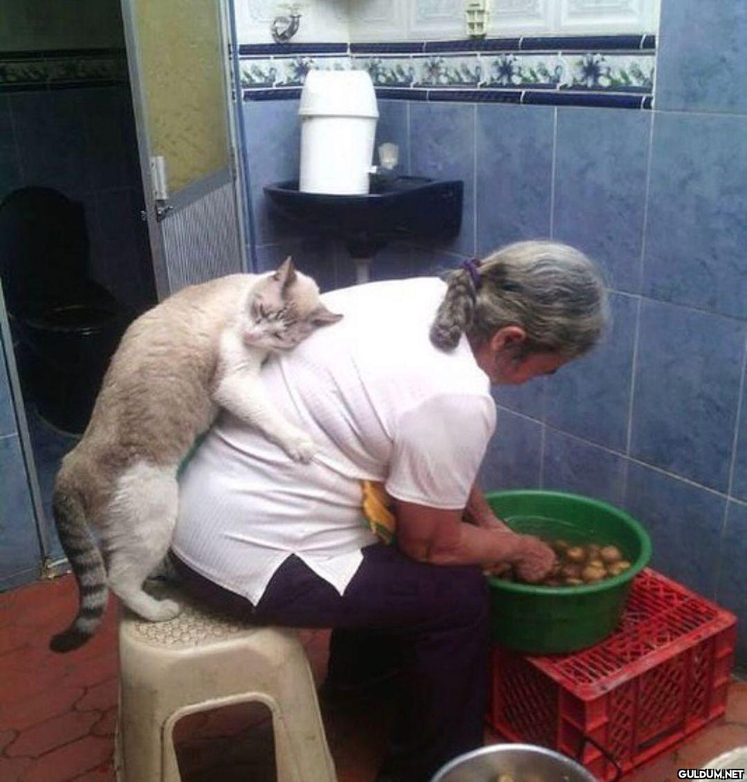 kalk kız soğan doğrayalım 💞  Kaynak