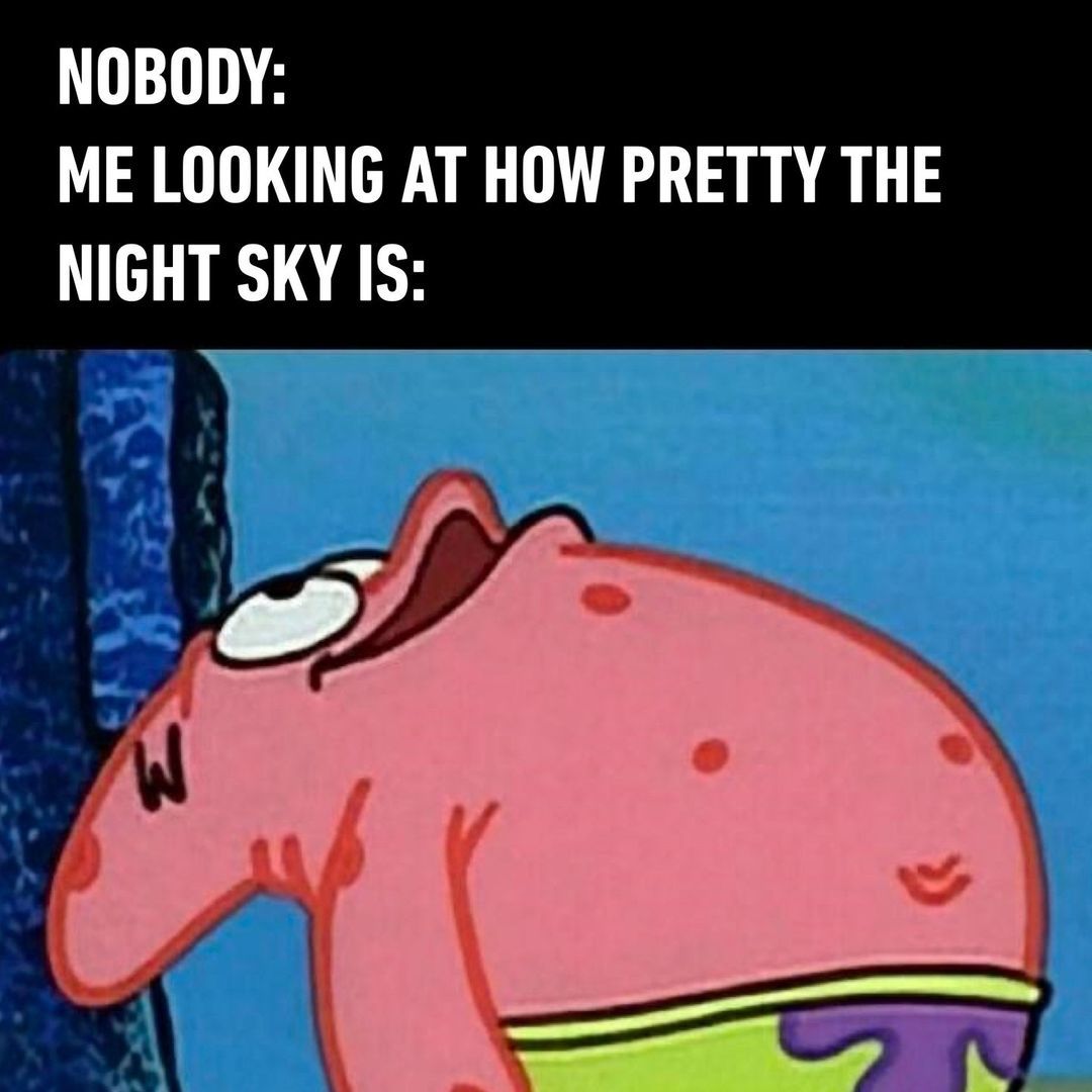 too bust gazing at the...