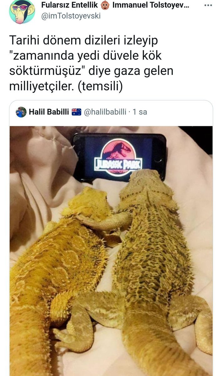 Fularsız Entellik Immanuel...