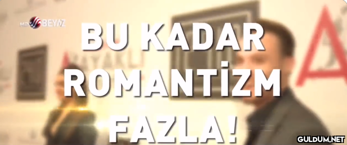 nobody: gustave flaubert: ...