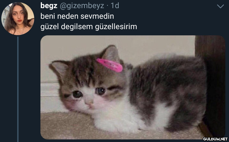 begz @gizembeyz · 1d beni...