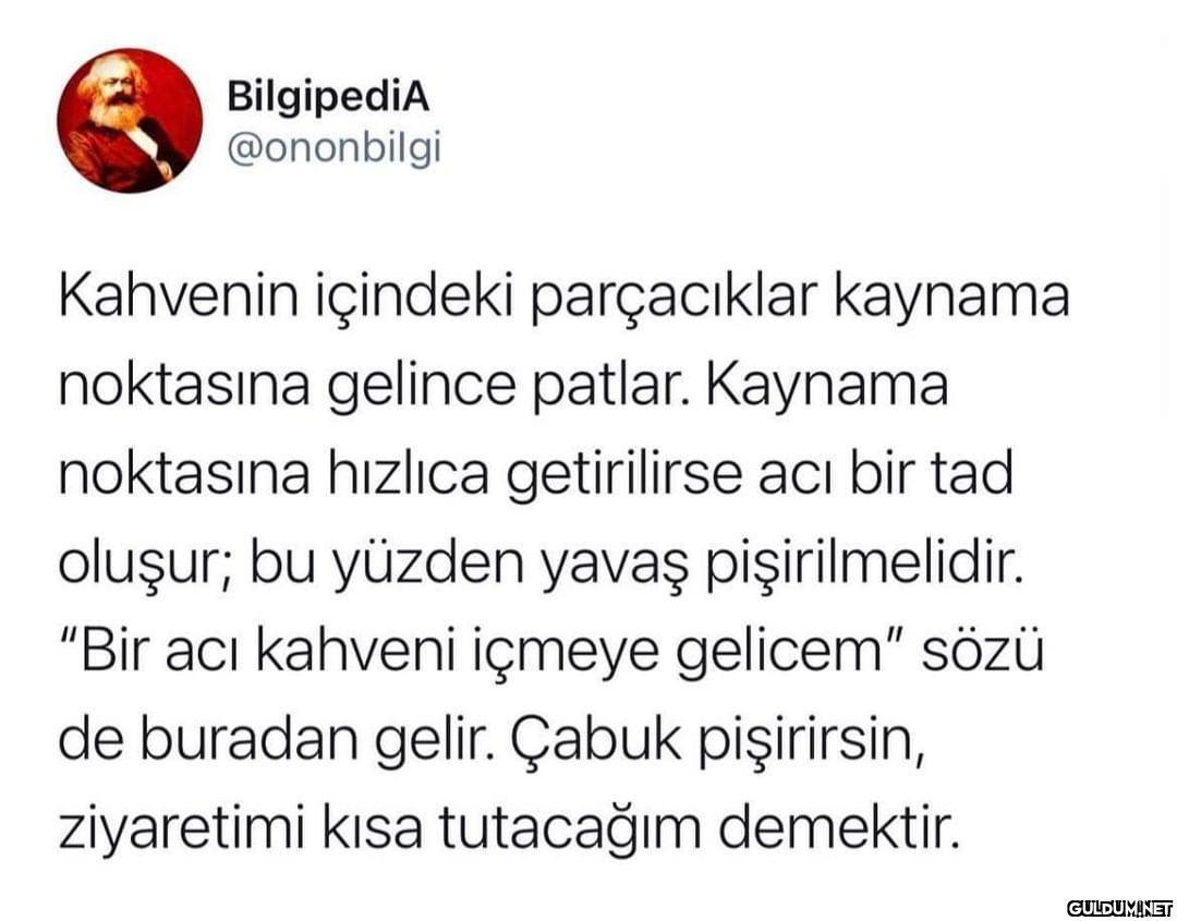 BilgipediA @ononbilgi...
