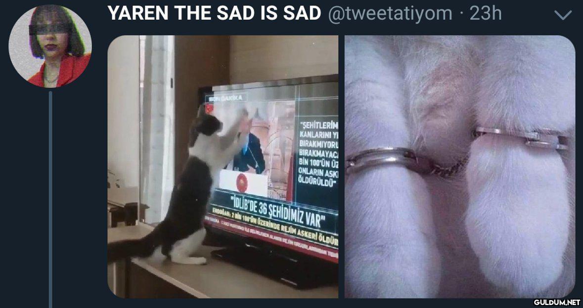 YAREN THE SAD IS SAD...