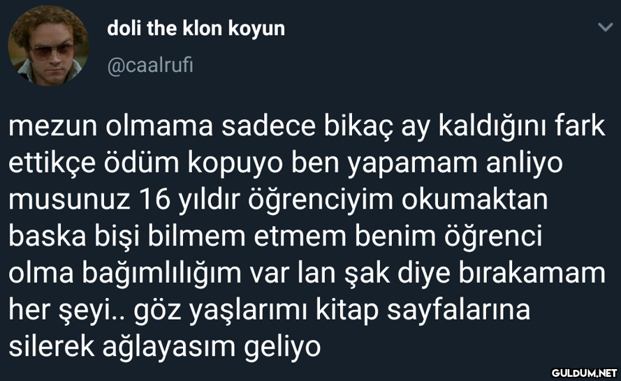 doli the klon koyun...