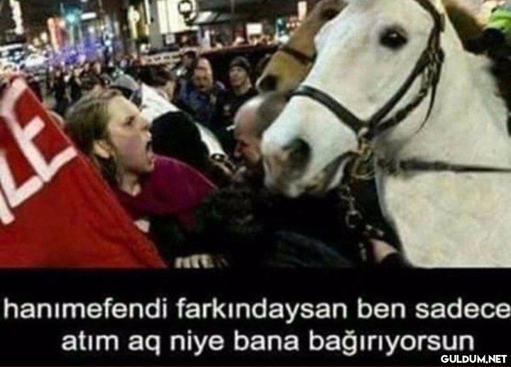@mizahdesen...
