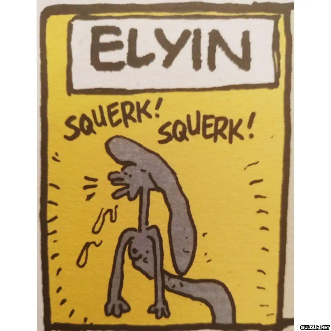 ELYIN SQUERK! SQUERK! ...