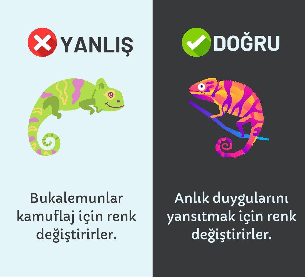 Kaynak