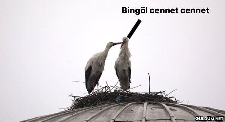 BirGün Gazetesi O BİRGÜN,...