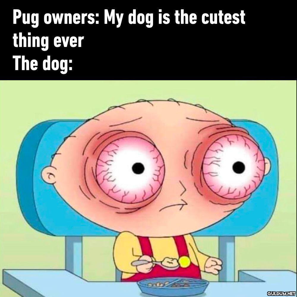 Still a good boi⠀ #dog...