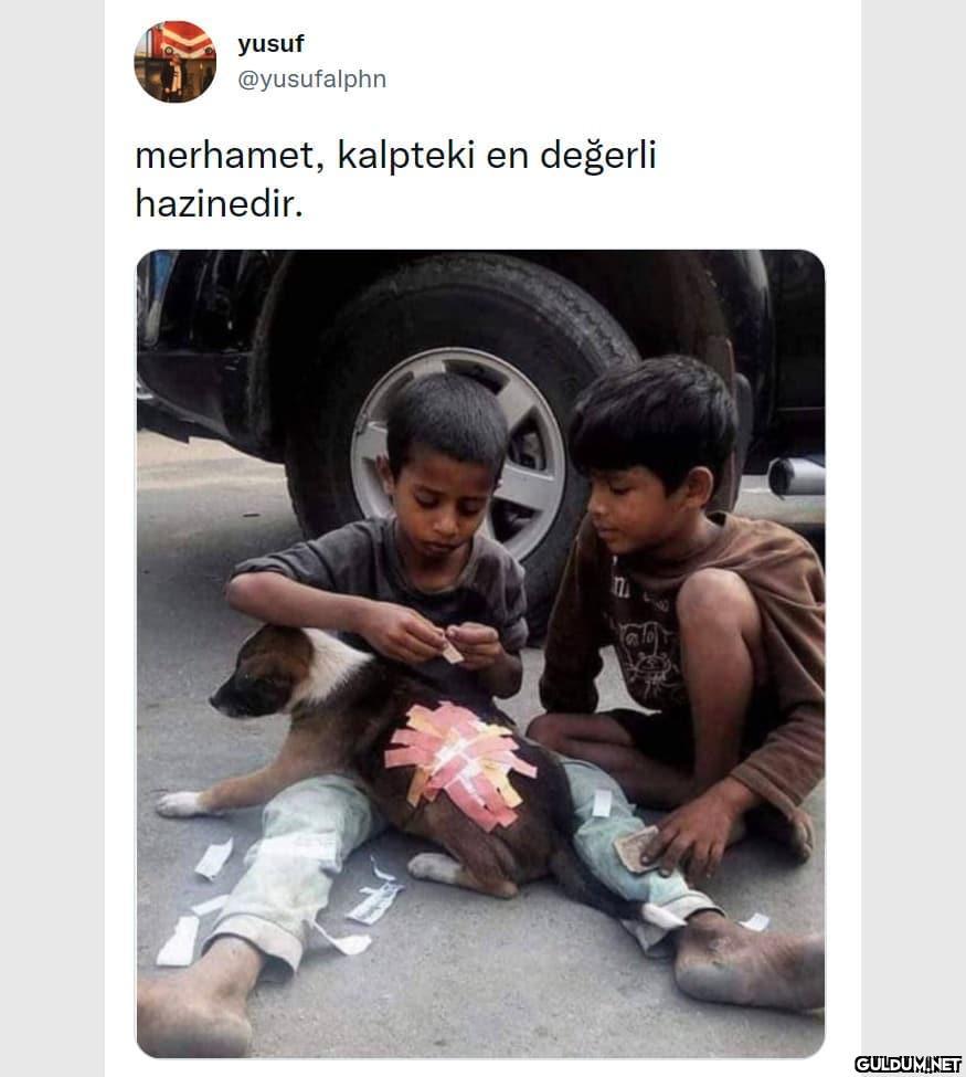 yusuf @yusufalphn...