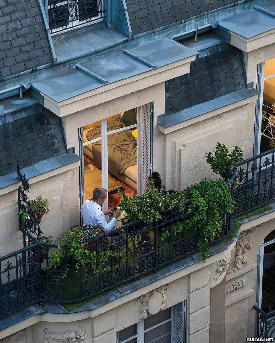 Paris’te pencereler..     ...