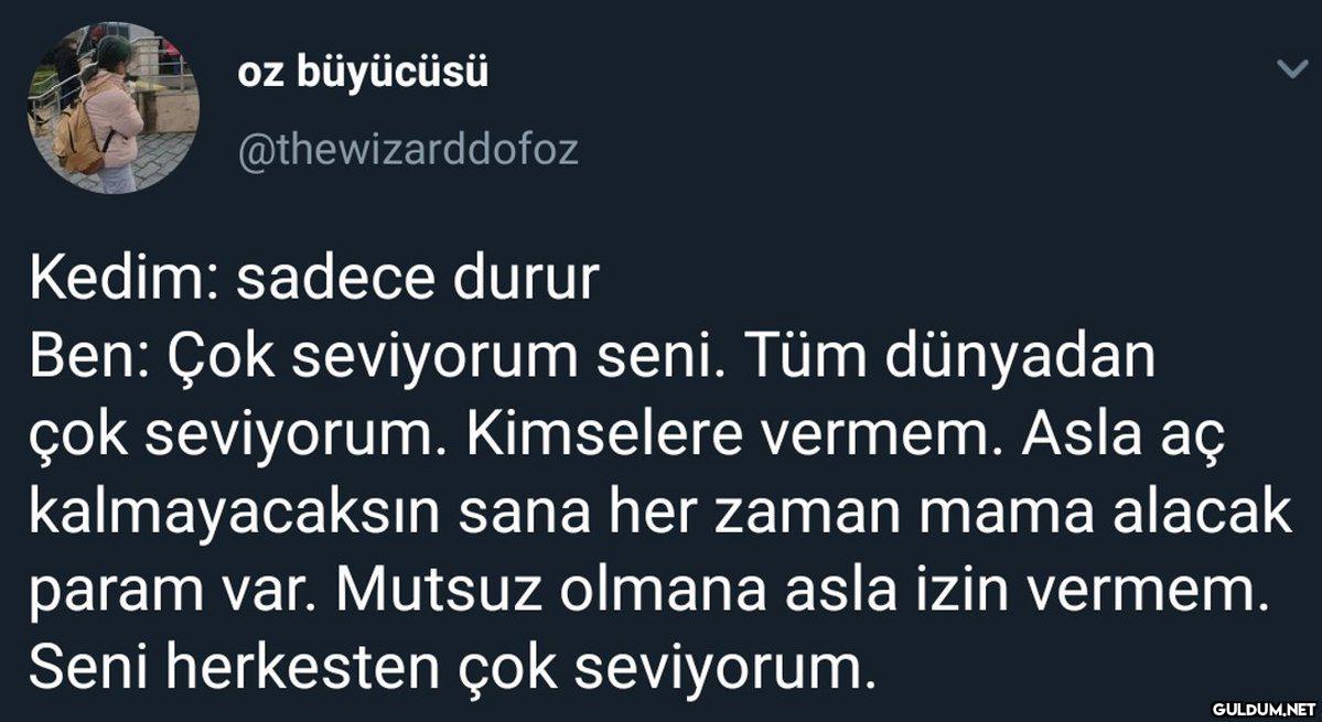 oz büyücüsü...