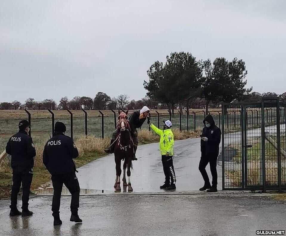 anlamsız fotoğraflar 237 ...