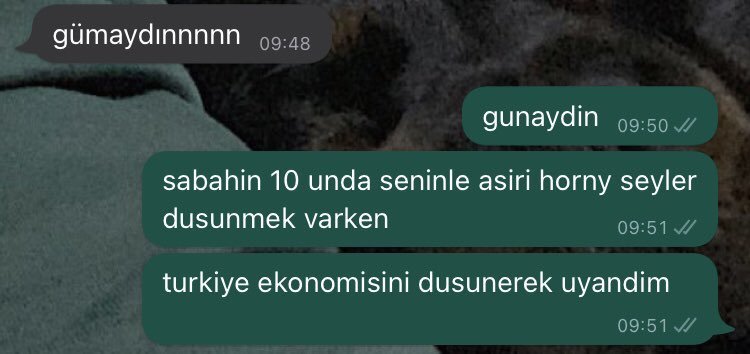 tc şartları   ...