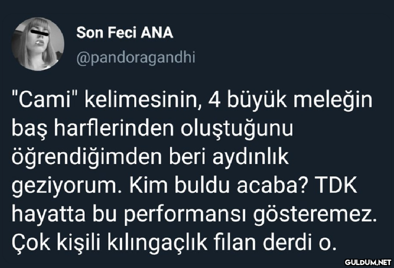 Son Feci ANA...