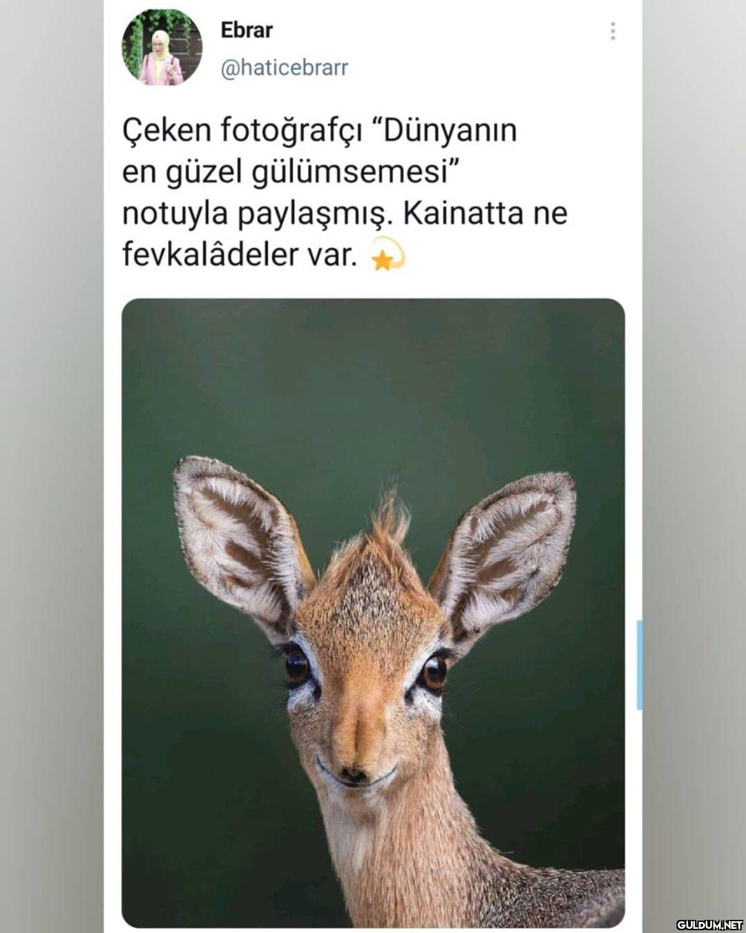 Ebrar @haticebrarr Çeken...