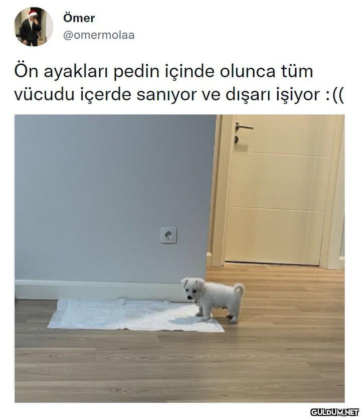 Ömer @omermolaa Ön...