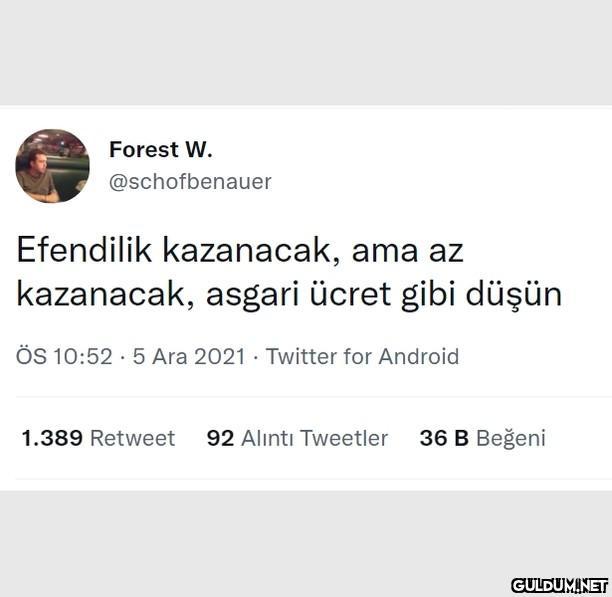 Forest W. @schofbenauer...