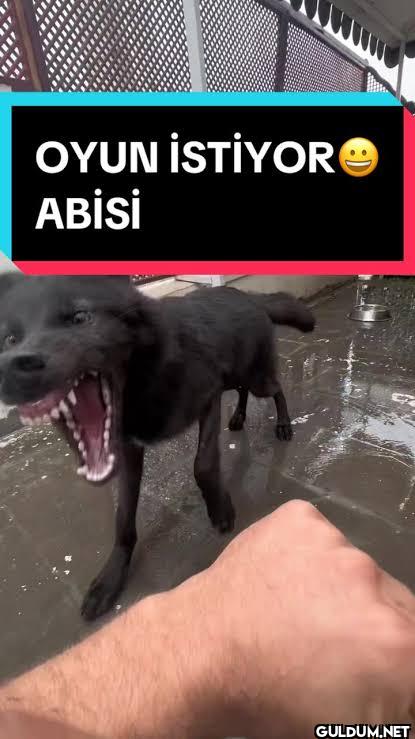 OYUN İSTİYOR ABİSİ