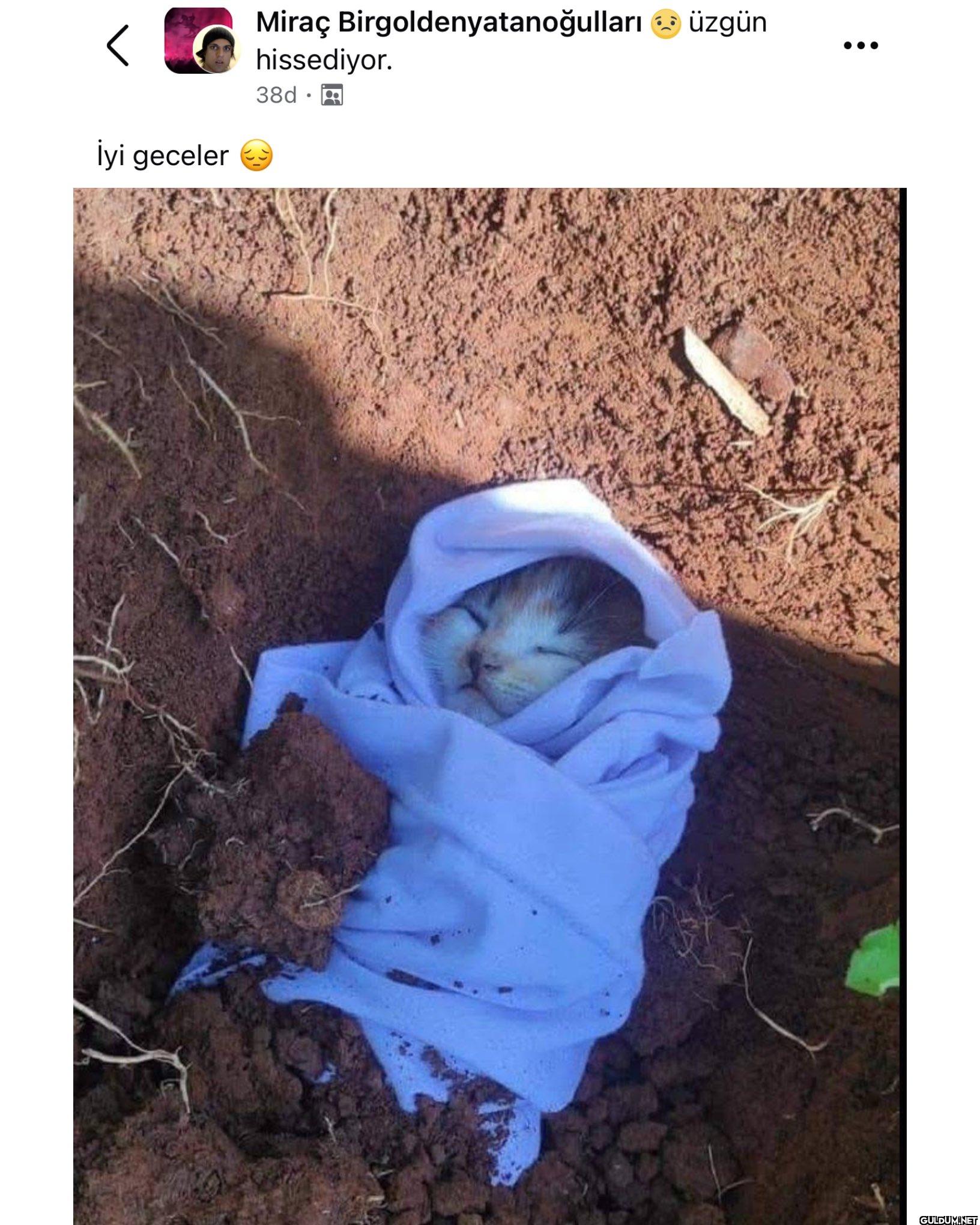 İnsanın kalbi ağrır    <...