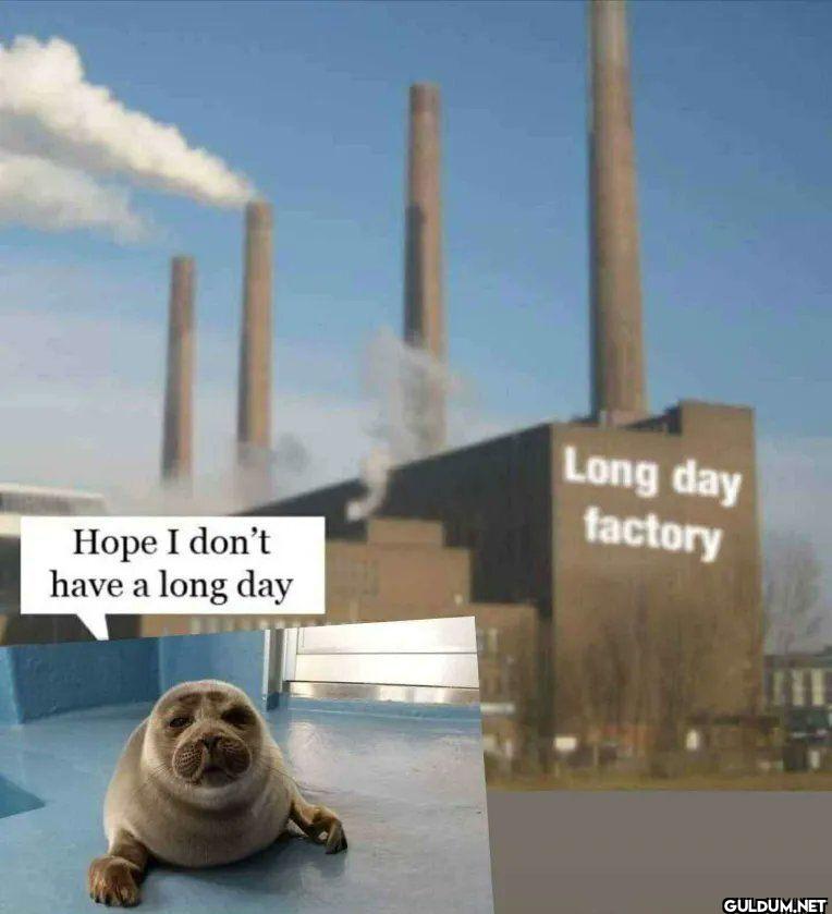 Hope I don't have a long...