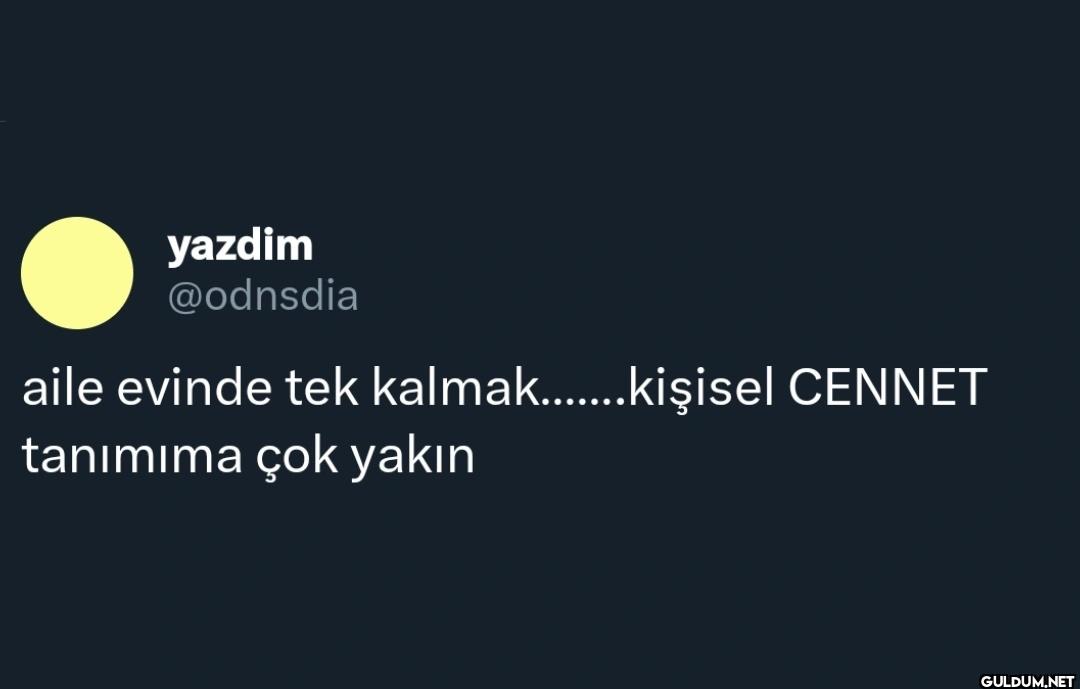 aile evinde tek...