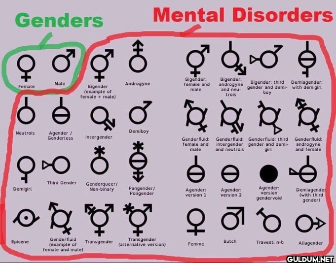 👇    Genders Female...