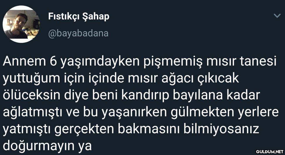Fıstıkçı Şahap @bayabadana...