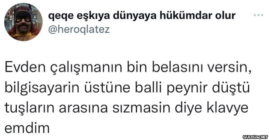 qeqe eşkıya dünyaya...