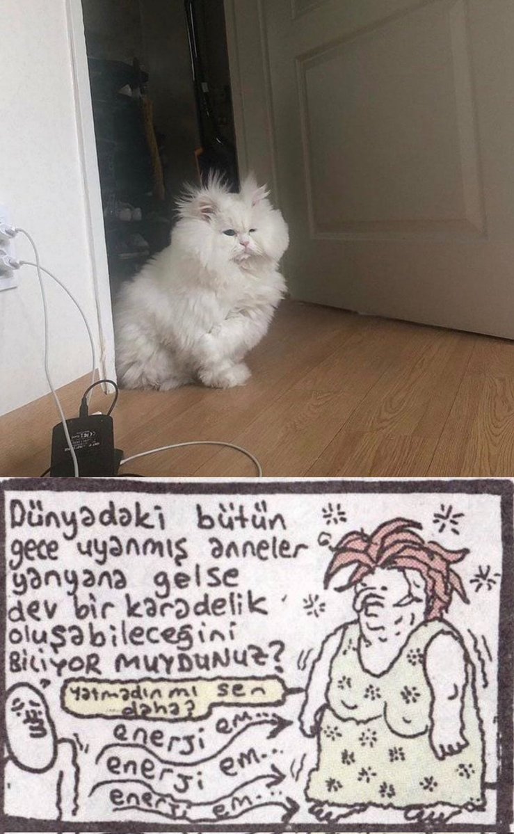 Yatmadın mı sen daha ?   ...