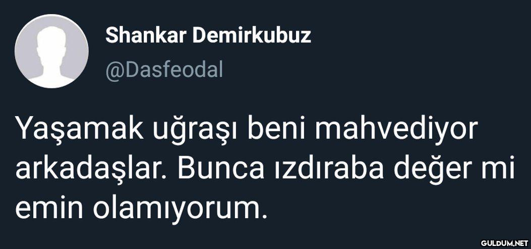 Shankar Demirkubuz...