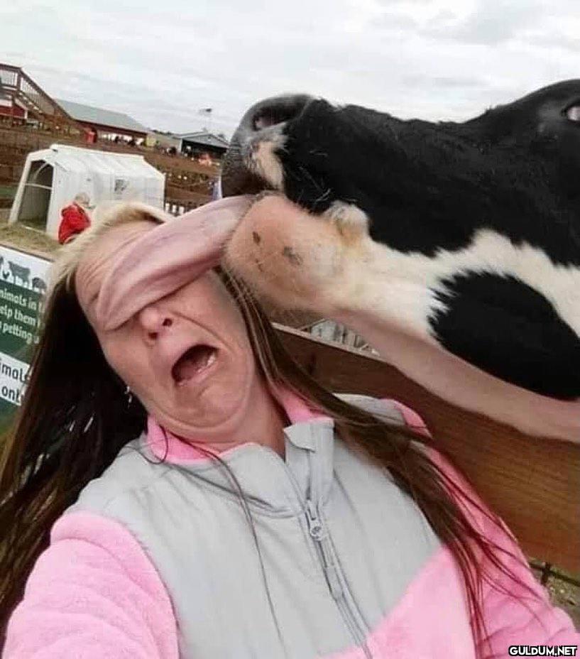 anlamsız fotoğraflar 2207 ...