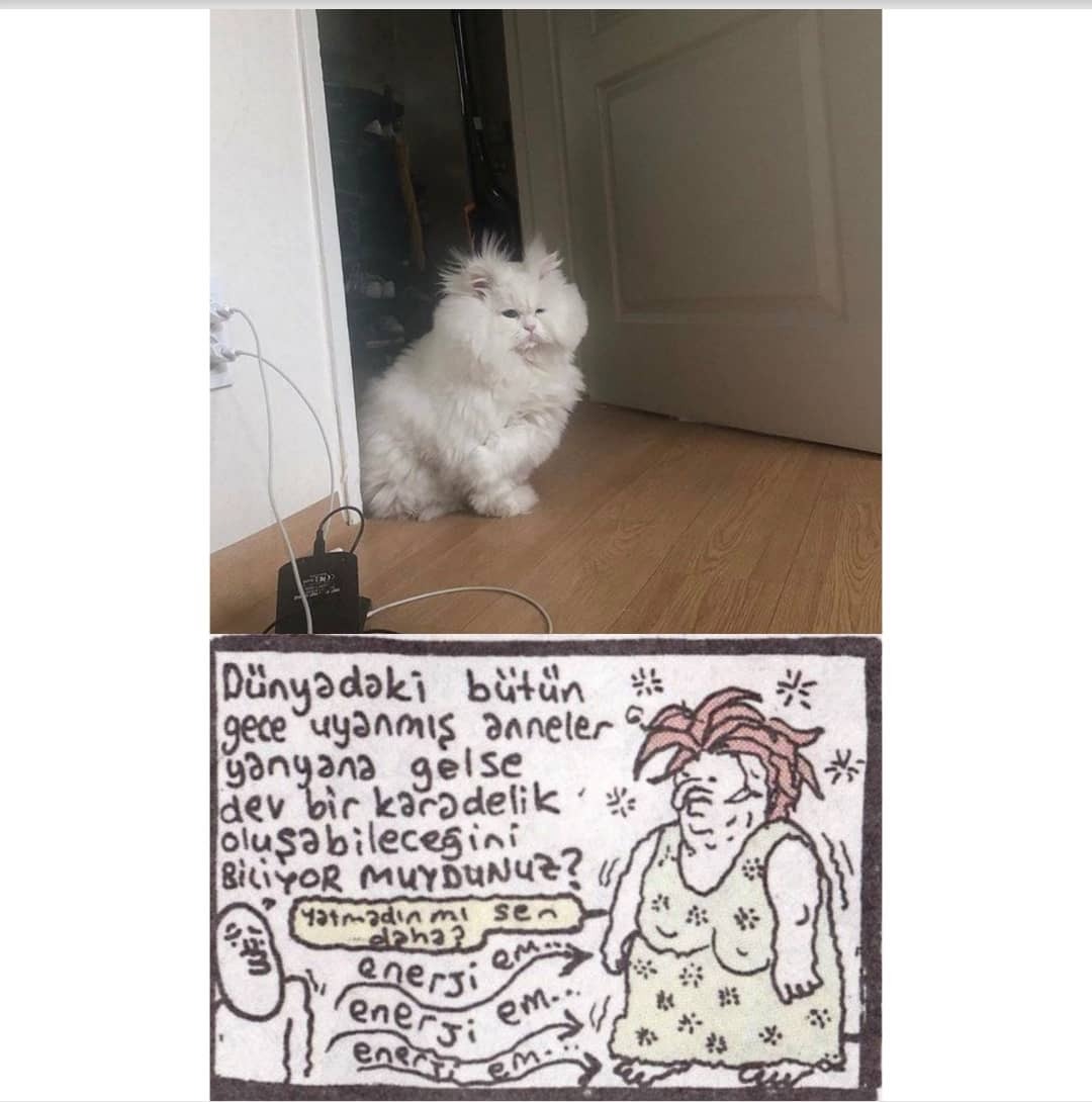Yatmadın mı sen daha ?...