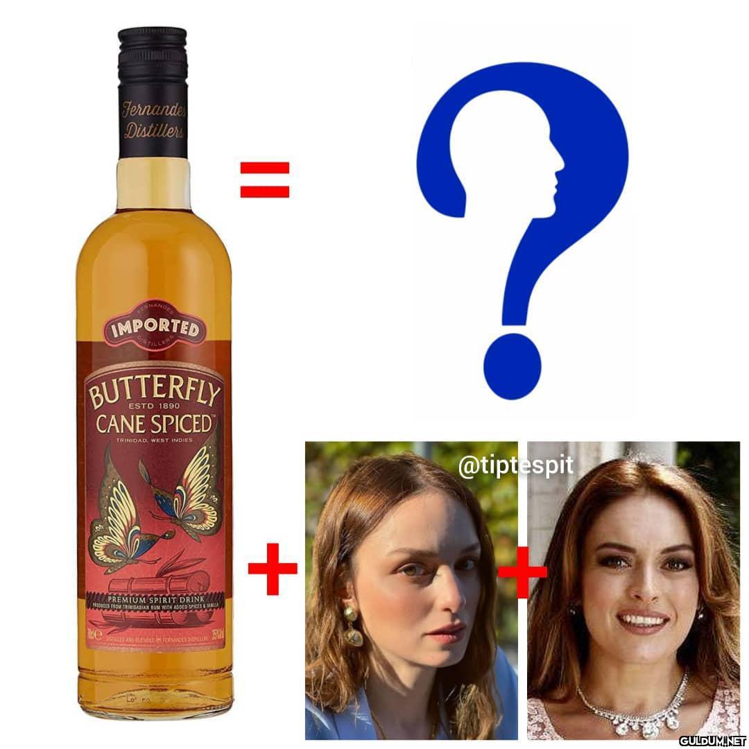 Nilperi Şahinkaya + Ezgi...