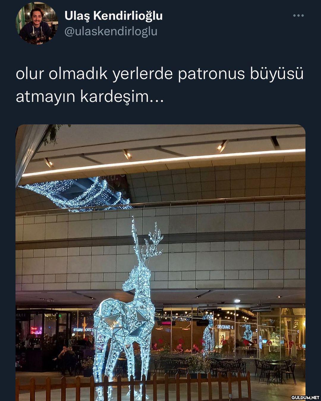 unexpecto patronum  Ulaş...