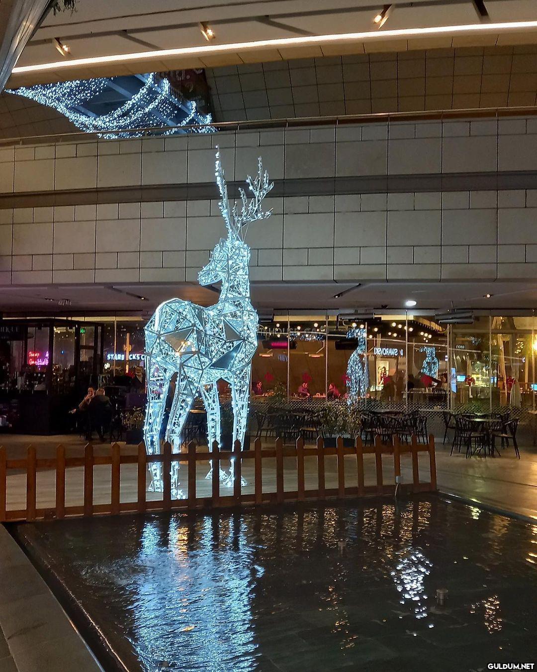 unexpecto patronum  Ulaş...