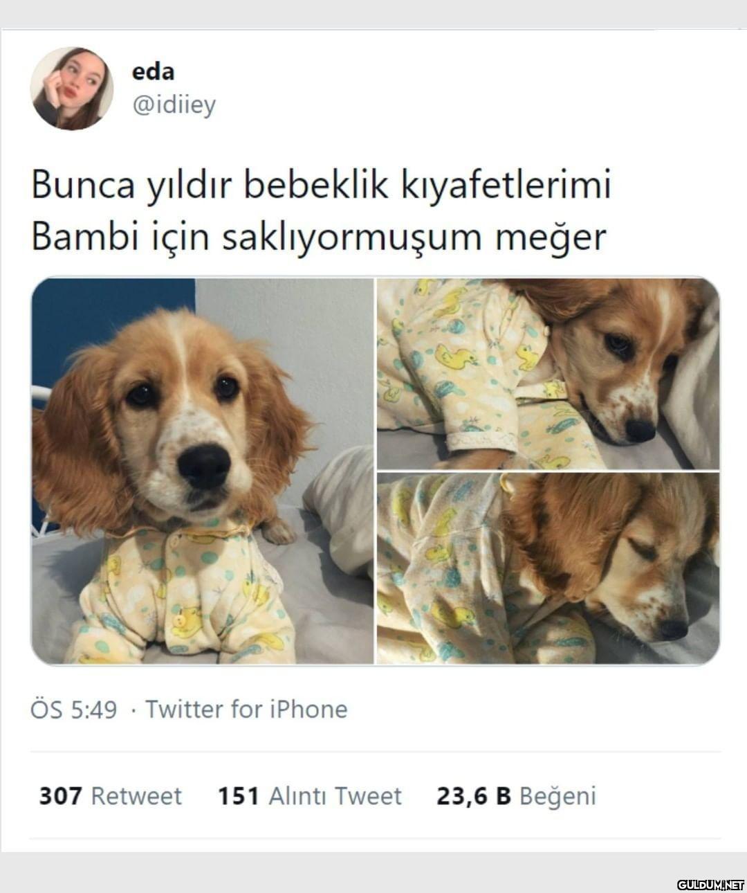 Kaydırmalı  eda @idiiey...