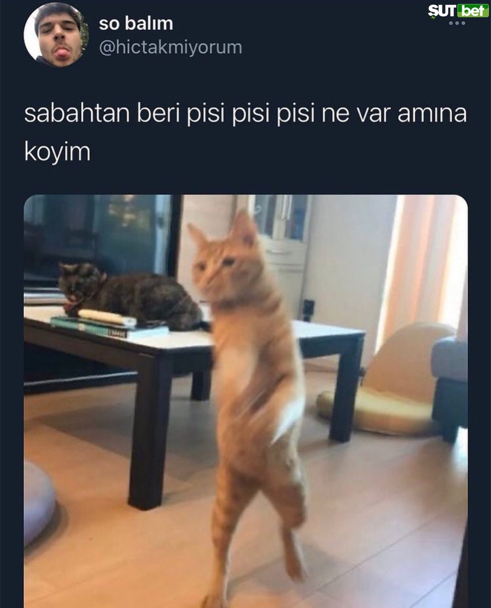 Kaynak