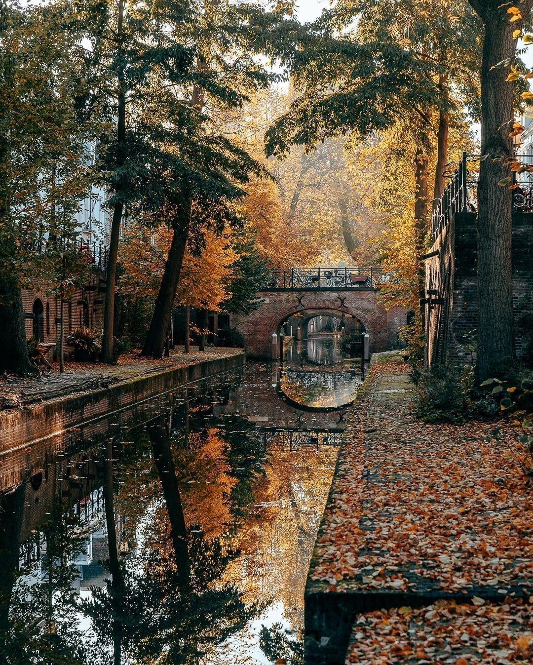 Missing the autumn leaves...