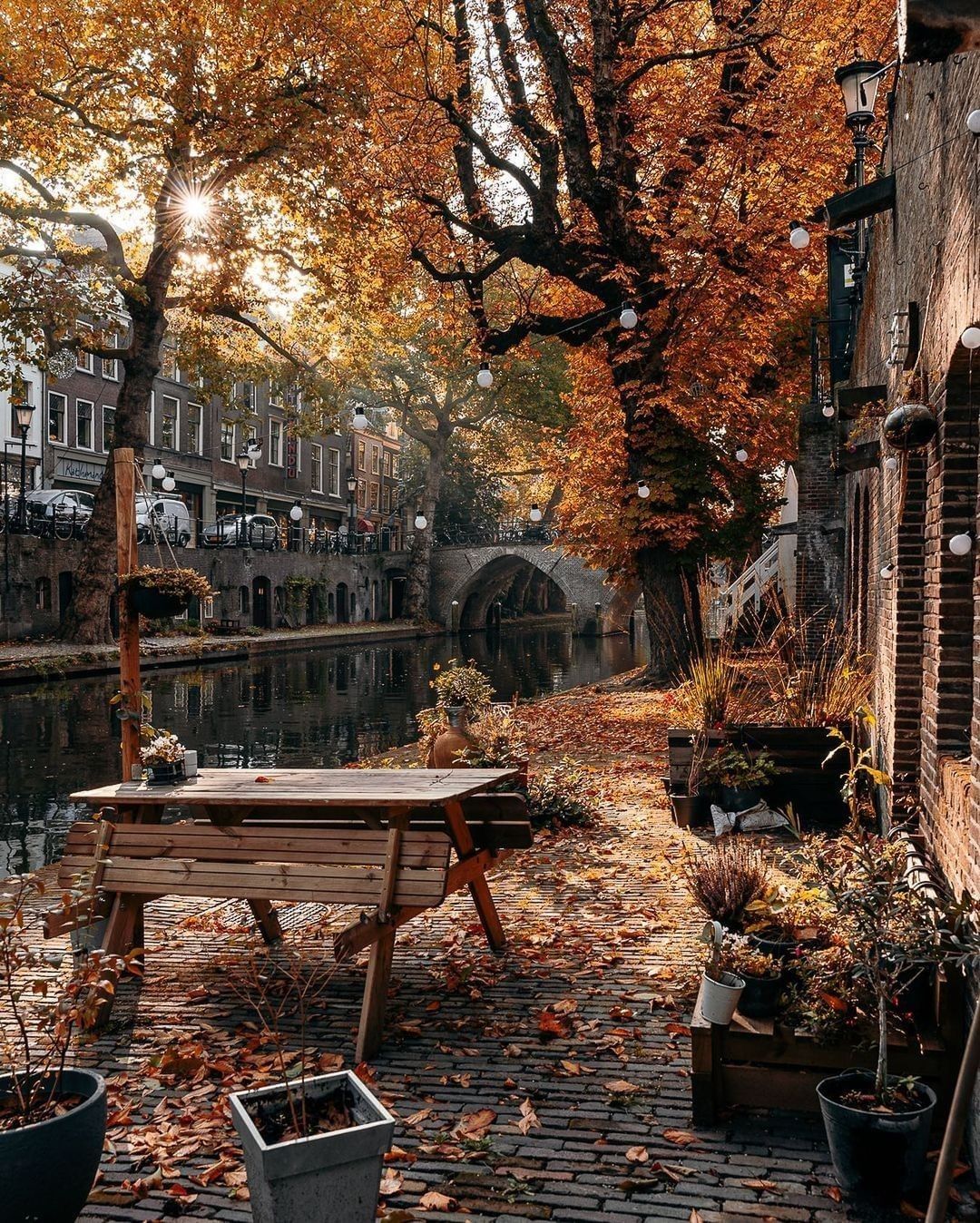 Missing the autumn leaves...