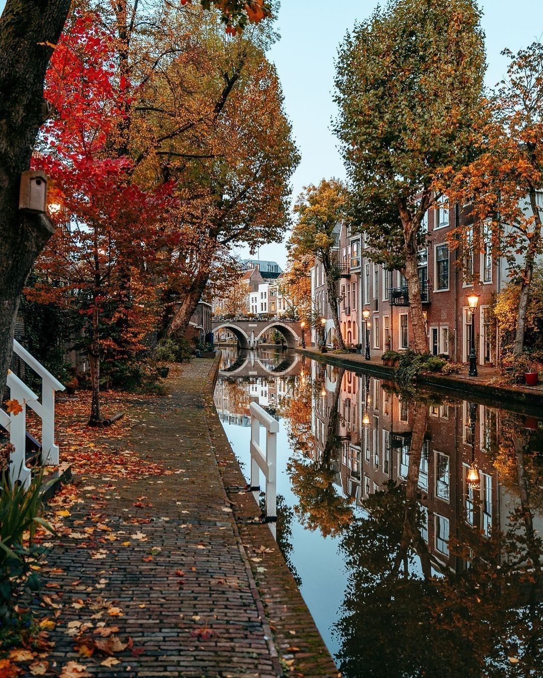 Missing the autumn leaves...