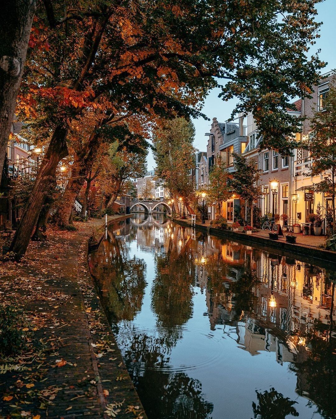 Missing the autumn leaves...