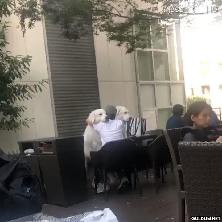 Böyle bi arkadaşlığa...