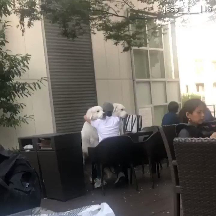 Böyle bi arkadaşlığa...