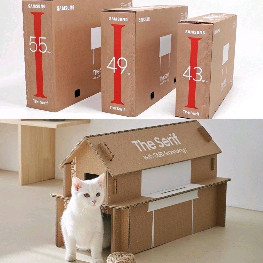 Samsung TV kutuları kedi...